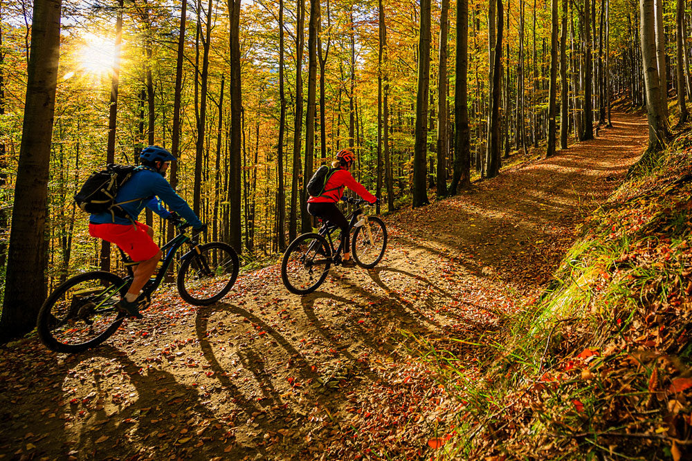 The Benefits of Cycling for Cardiovascular Health